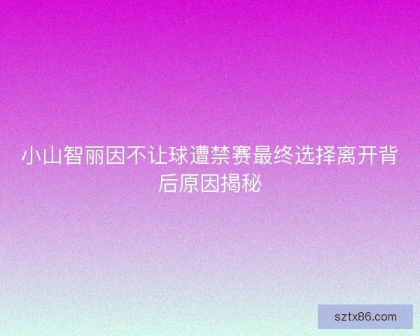 小山智丽因不让球遭禁赛最终选择离开背后原因揭秘
